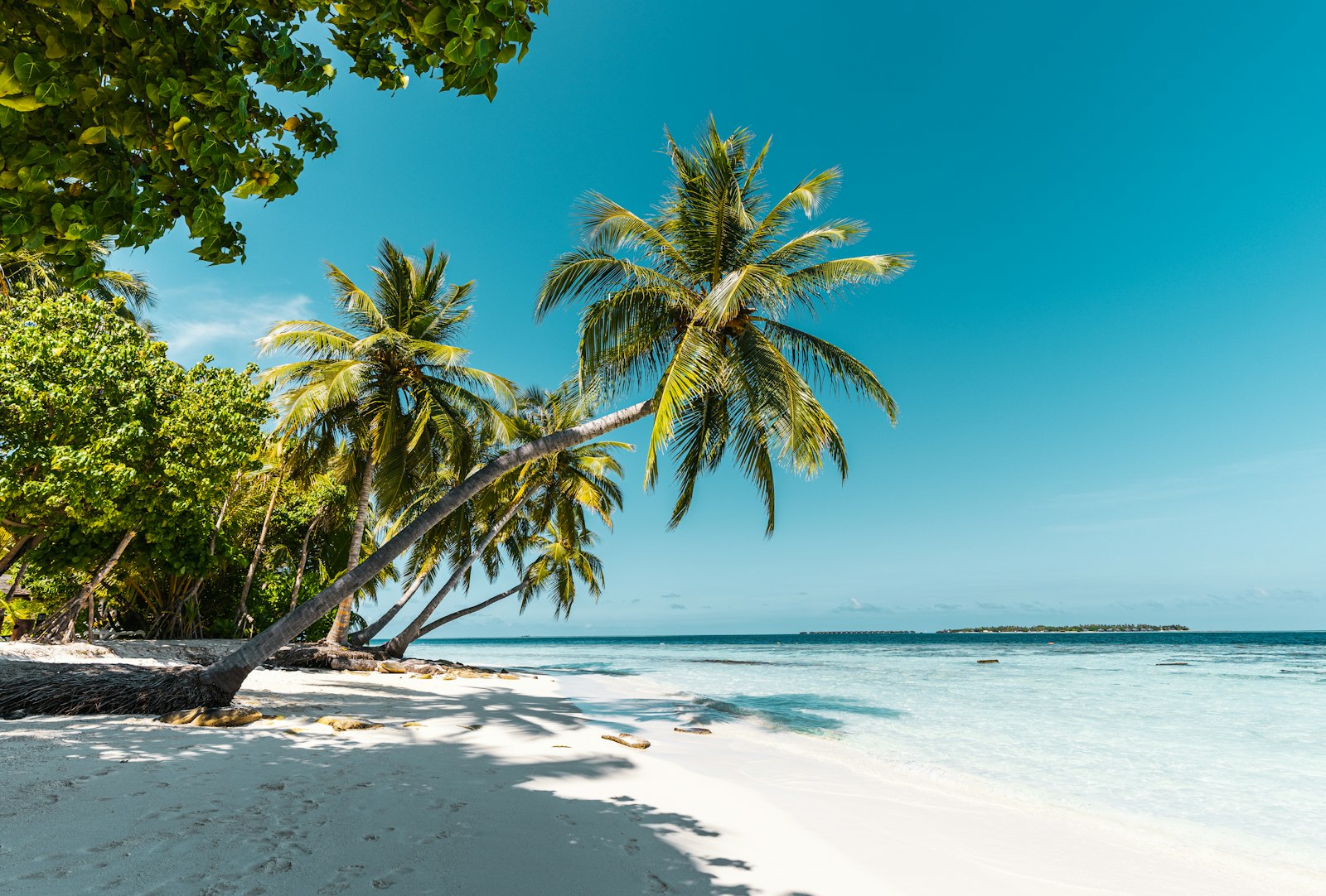 eSIM and VPN travel guide